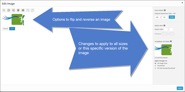 edit-image-options