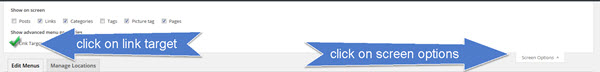 wordpressmenus-screenoptions